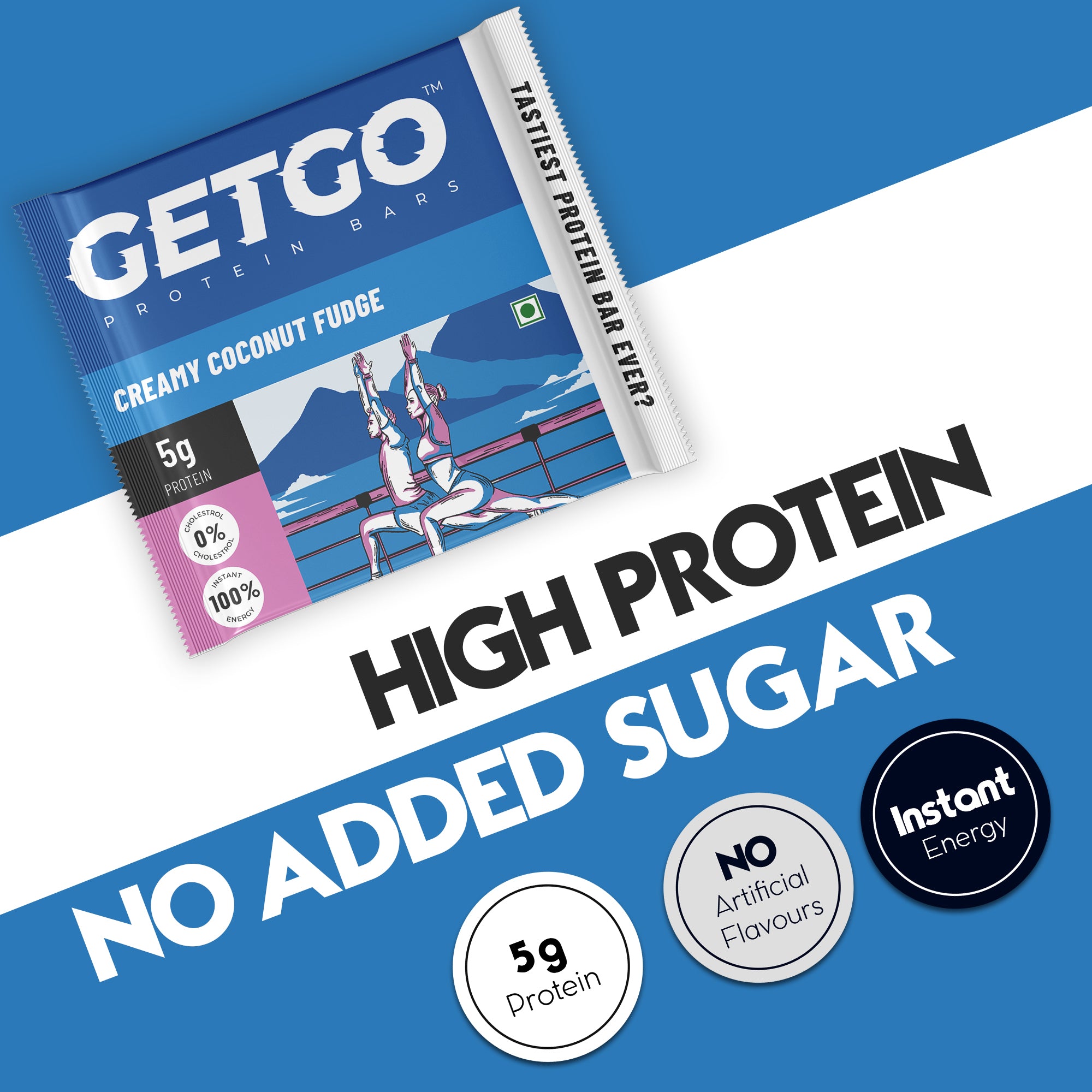 GetGo Indian Creamy Coconut Fudge Protein Bar 22g