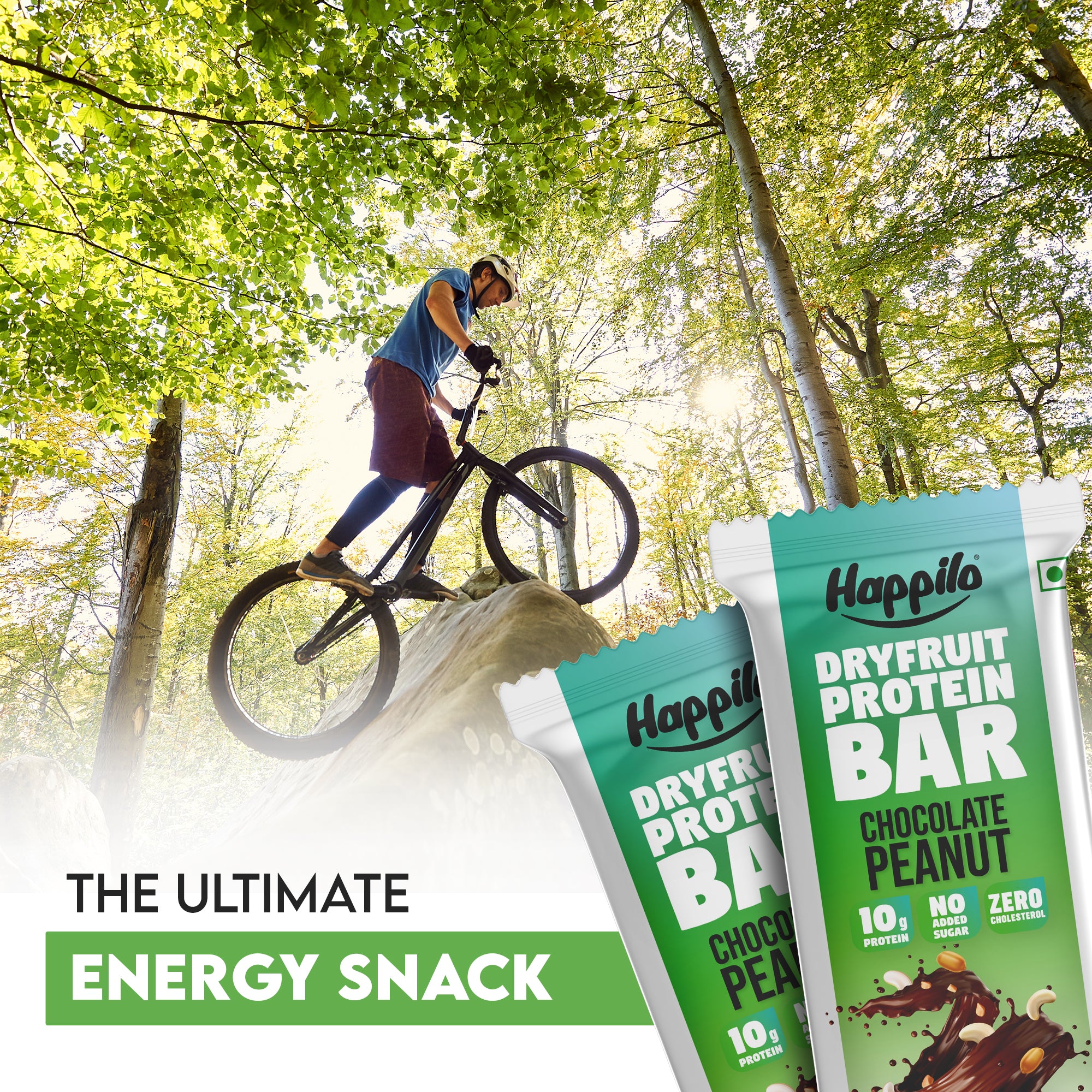 Happilo Dry Fruit Peanut Butter Chocolate Protein Bar 45g (Pack of 6)
