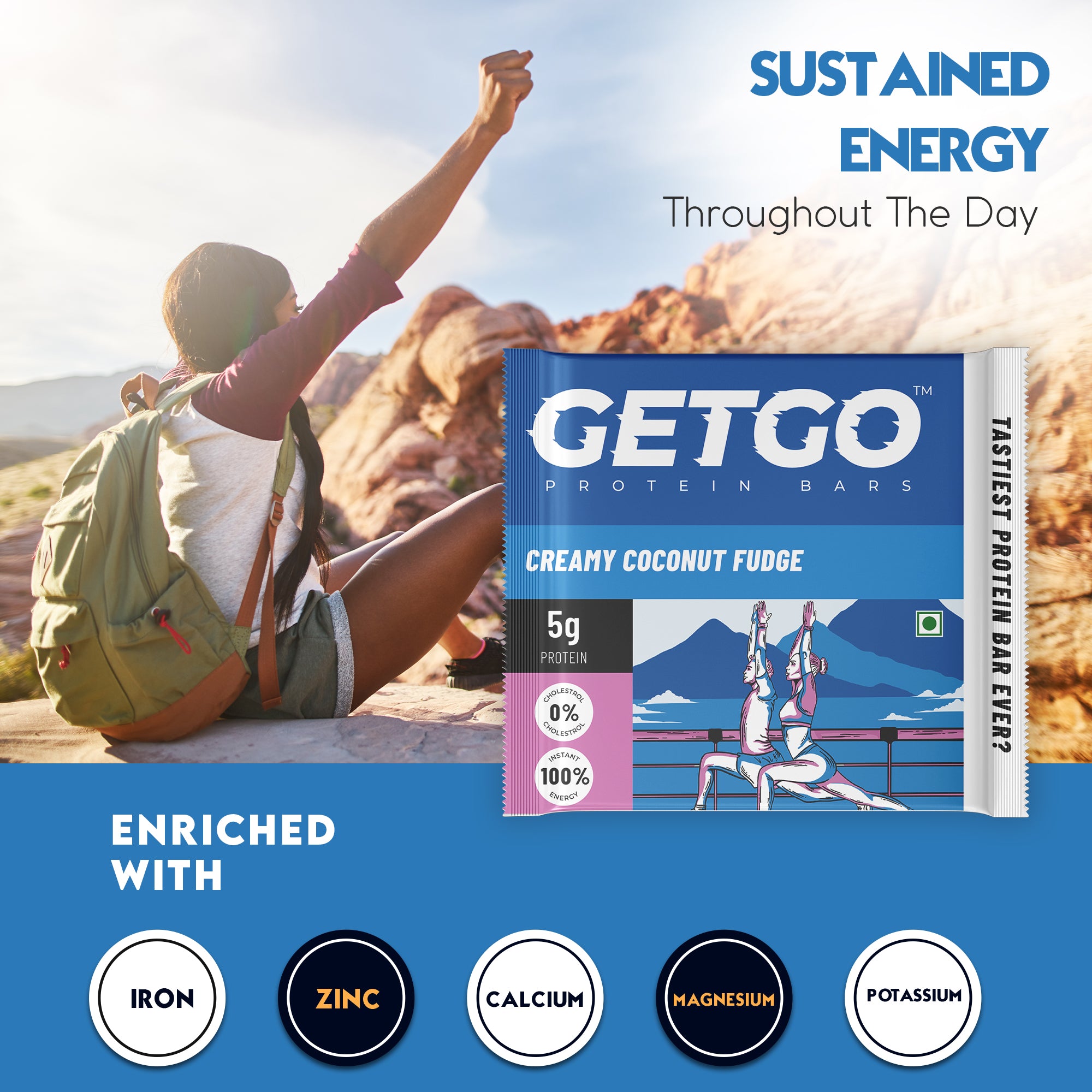 GetGo Indian Creamy Coconut Fudge Protein Bar 22g