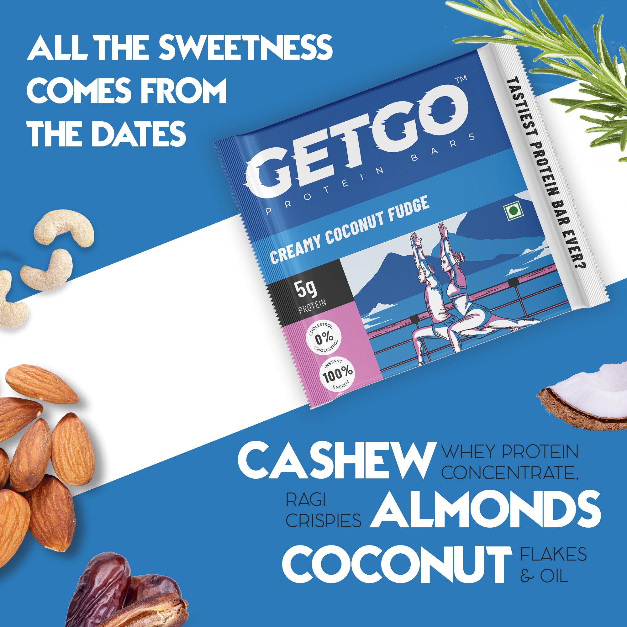 GetGo Indian Creamy Coconut Fudge Protein Bar 22g